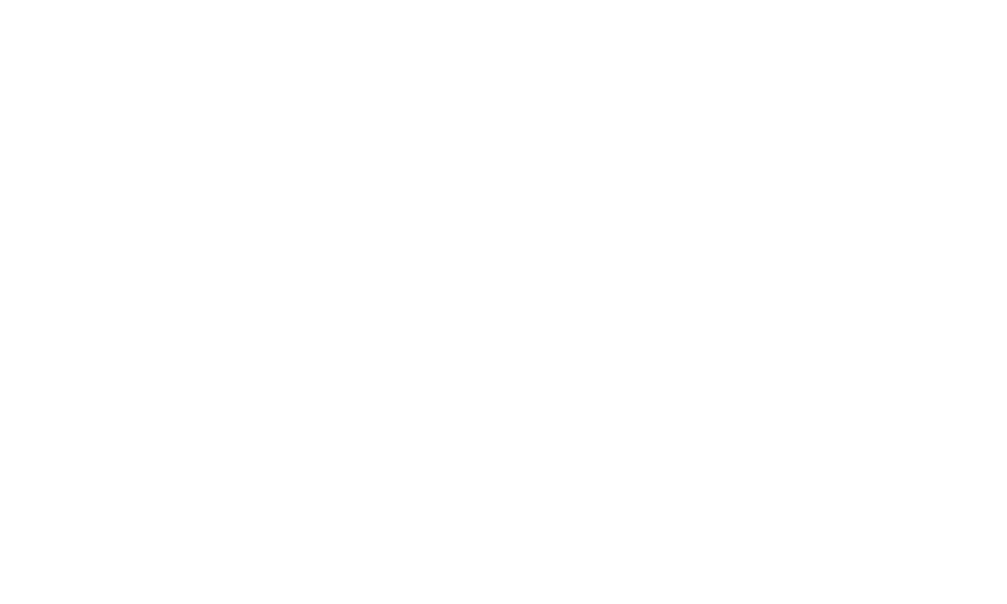 ALC Moldova